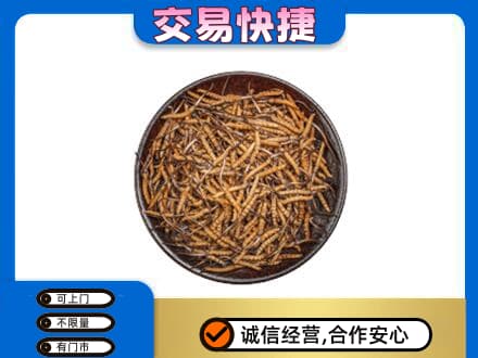 莱西市回收散虫草